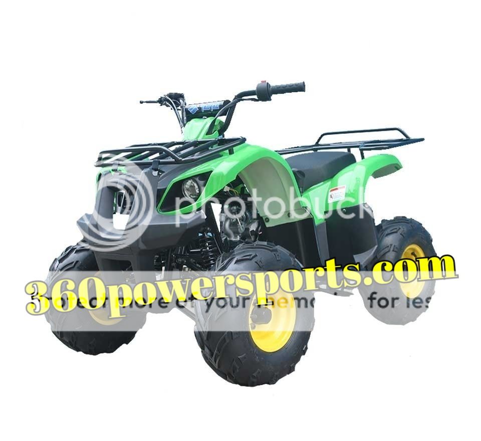Buy the TaoTao ATA-125 D ATV | Kids 120cc Four Wheelers